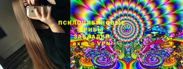 тгк Осташков