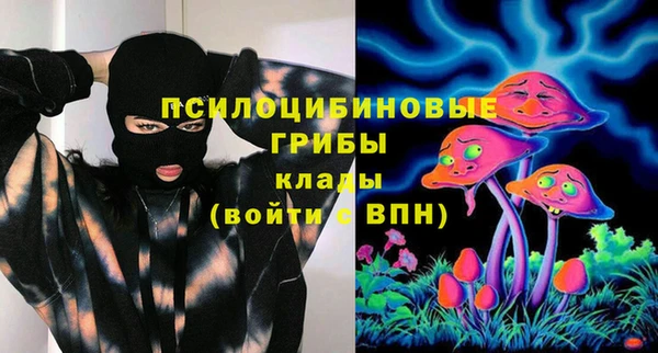 тгк Осташков
