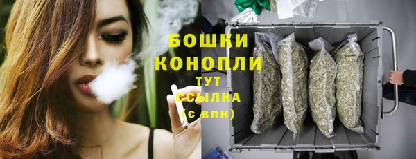 бошки Осинники